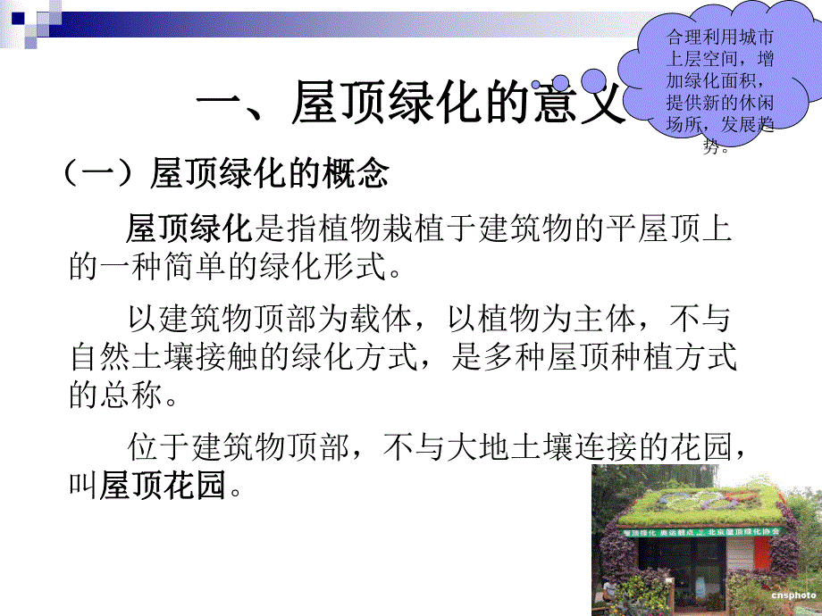 屋顶花园植物栽植养护.ppt_第2页