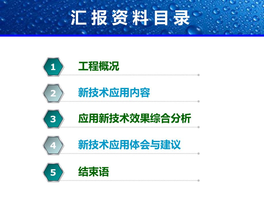 建筑业新技术应用示范工程验收汇报资料范例PPT.ppt_第2页