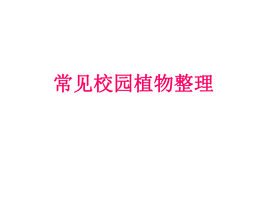 常见校园植物整理.ppt_第1页