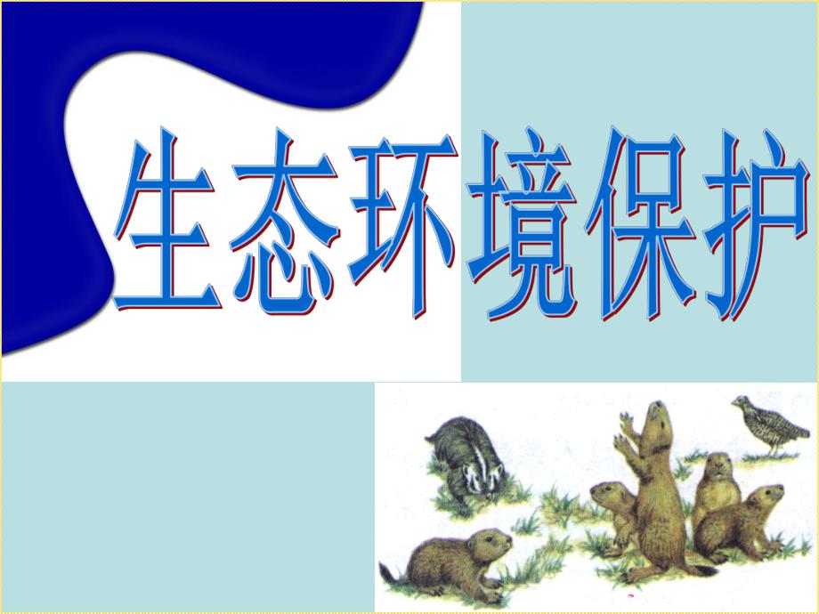 生态环境保护.ppt_第1页