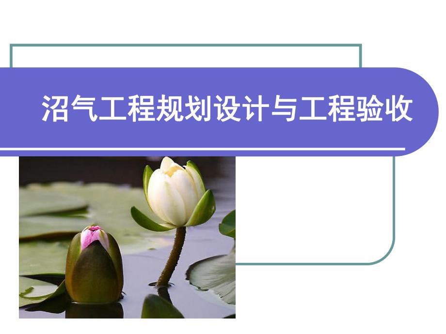 沼气工程规划设计与工程验收.ppt_第1页