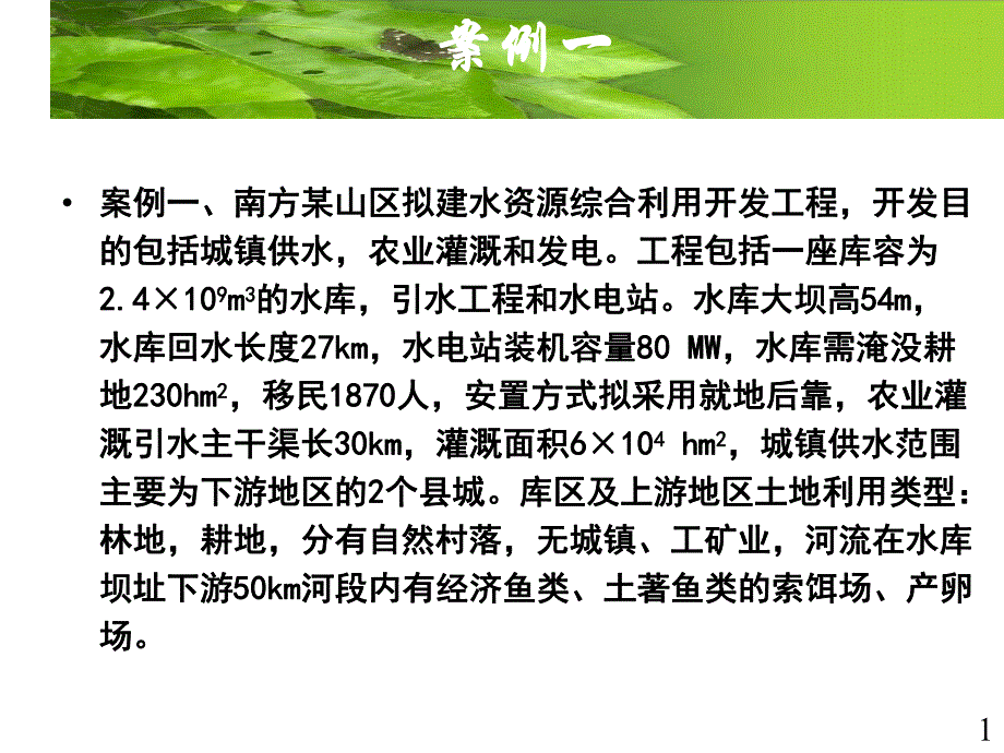 水利水电两个案例分析.ppt_第1页