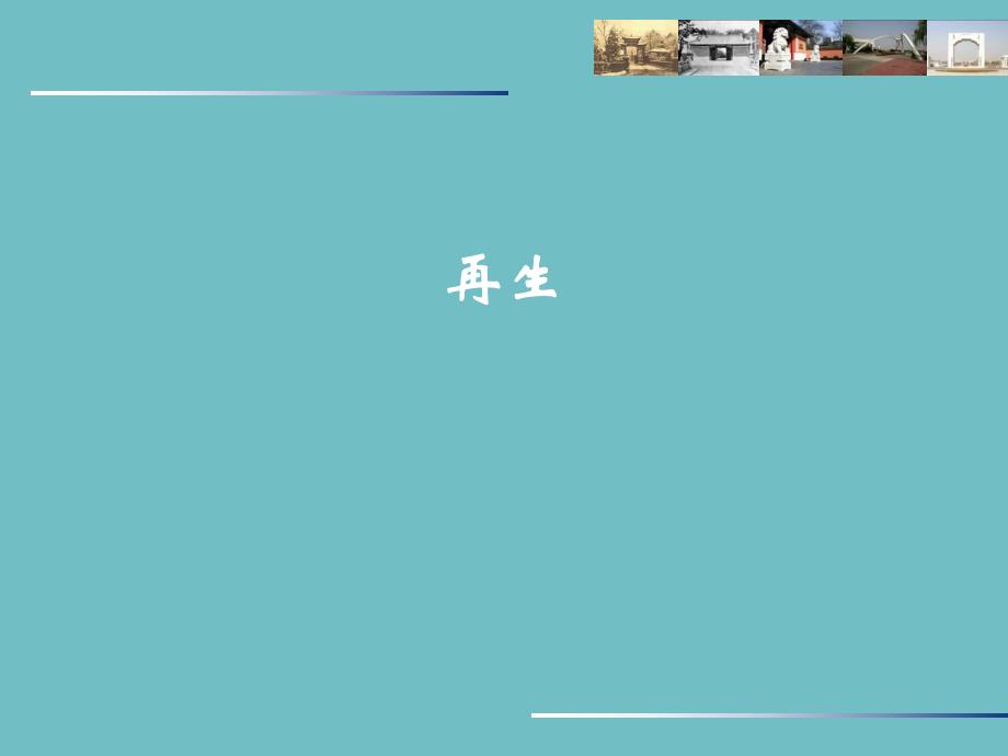 第 14 章 组织工程.ppt_第2页