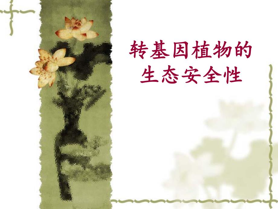 转基因植物的生态安全.ppt_第1页