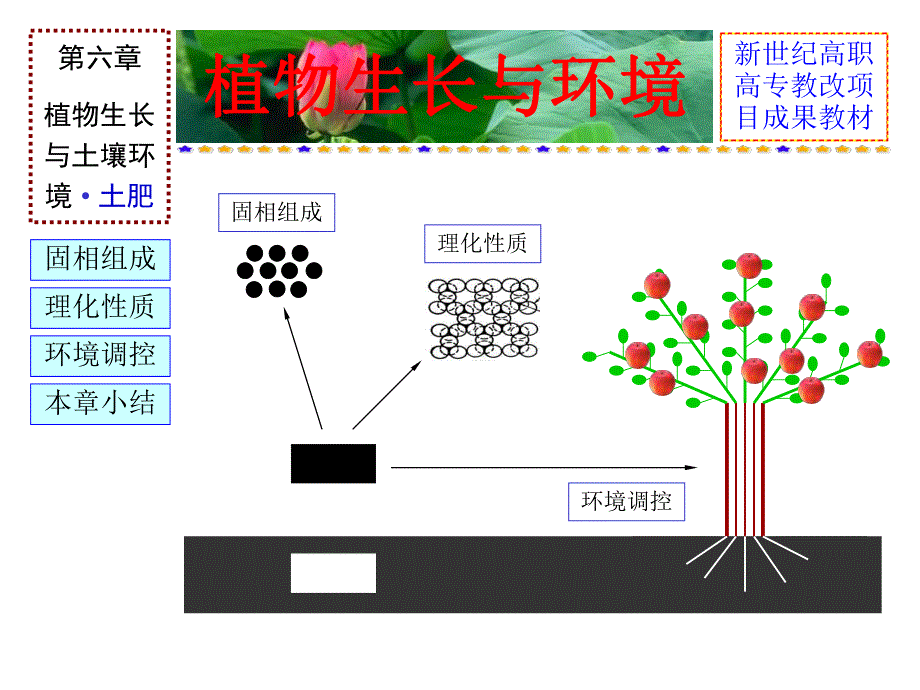 第六章植物生长与土壤环境.ppt_第2页