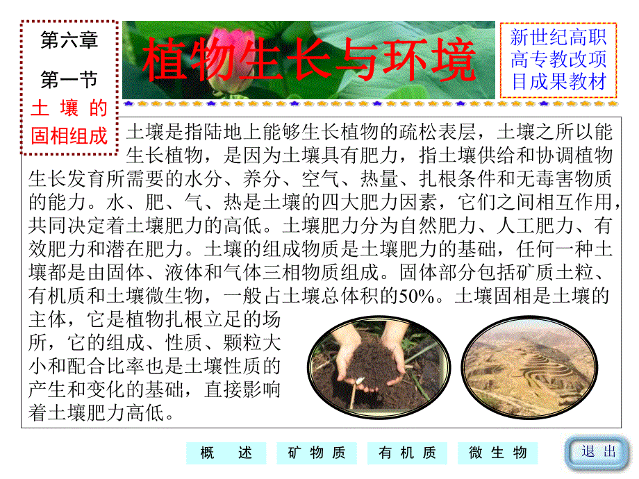 第六章植物生长与土壤环境.ppt_第3页