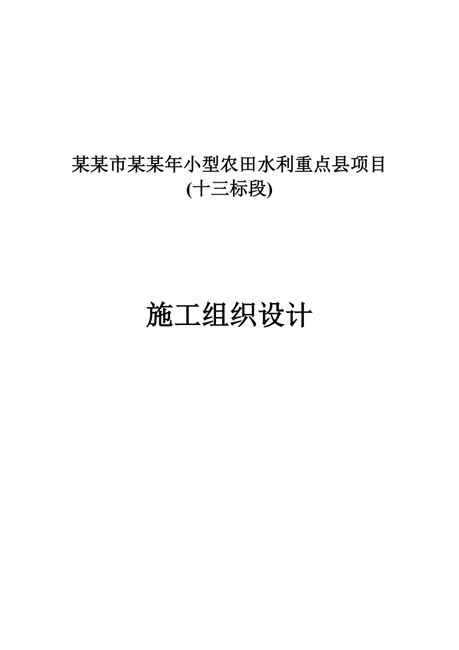 小型农田水利重点县项目施工组织设计.doc_第1页