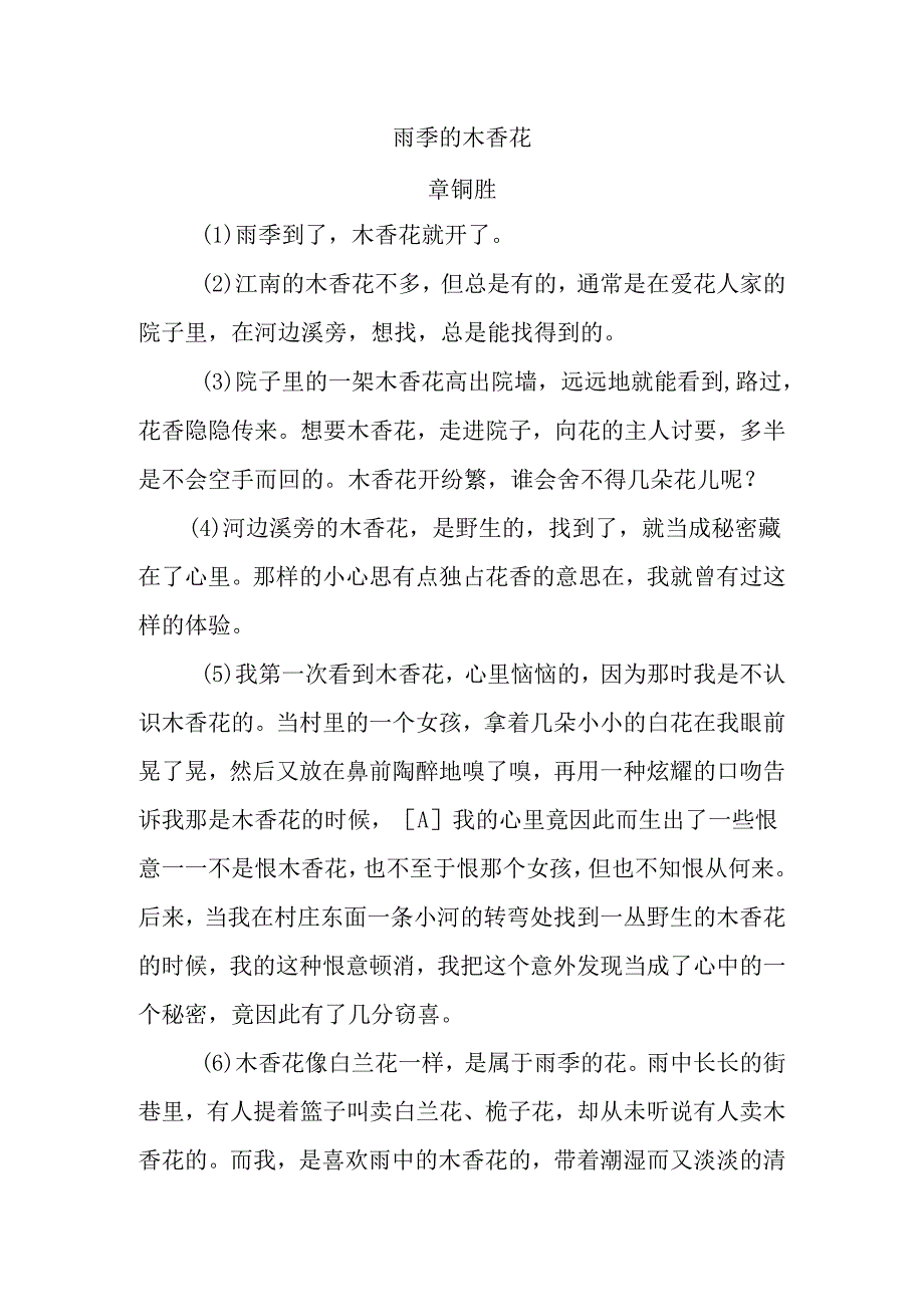 《雨季的木香花》原文.docx_第1页