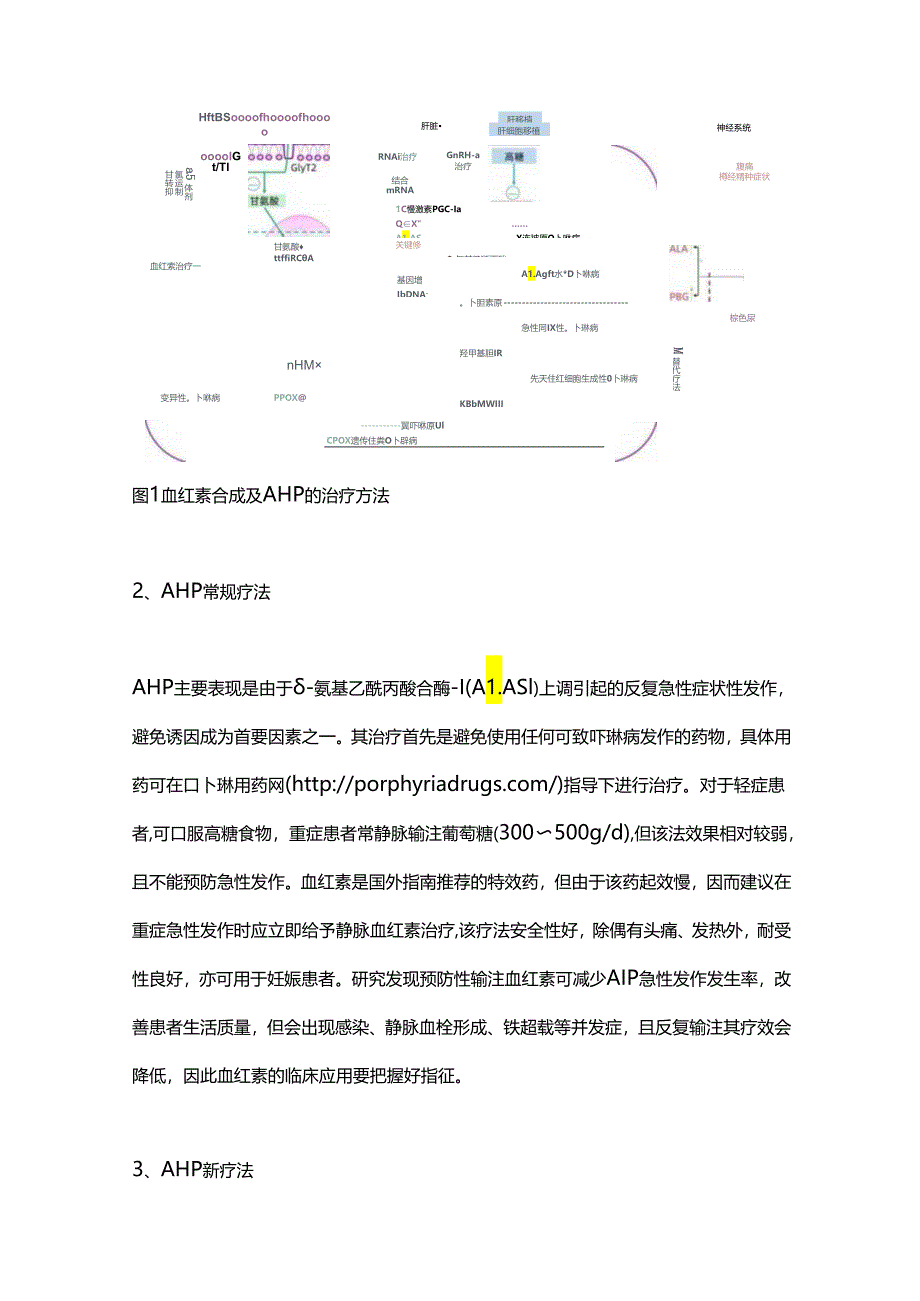 2024急性肝卟啉病的治疗进展（全文）.docx_第2页