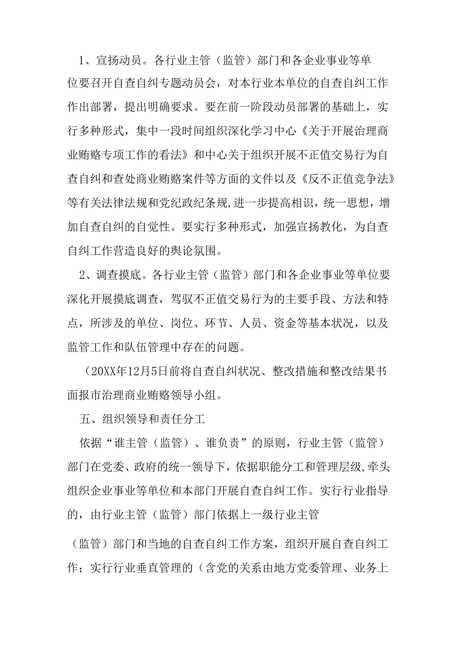 -市自查自纠的工作计划方案.docx_第3页