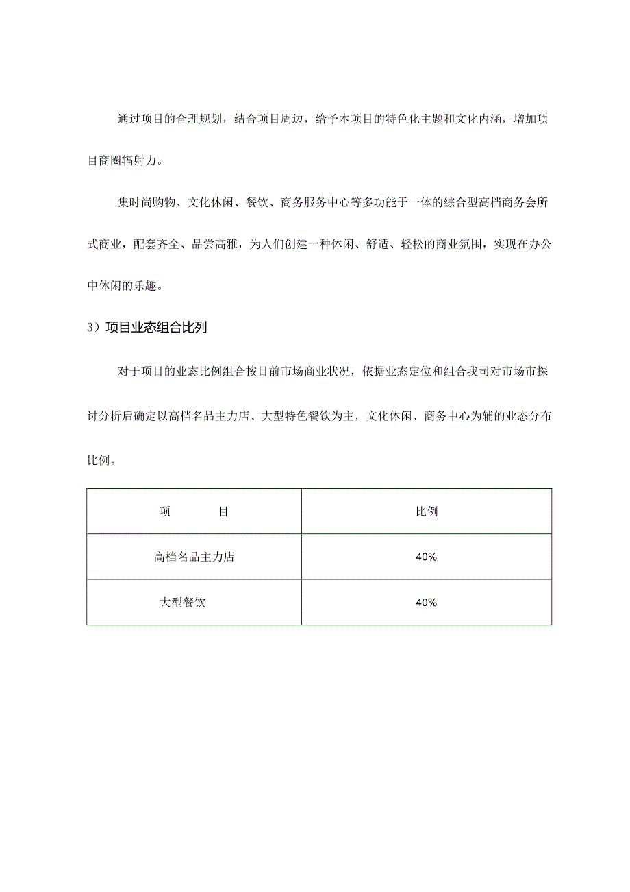 070207华林新时代广场商业运做方案.docx_第3页