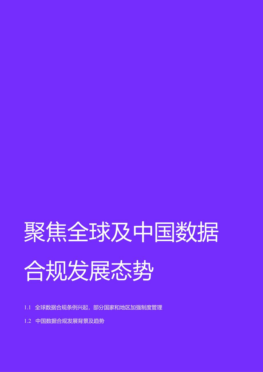 2024跨境数据合规白皮书_市场营销策划_2024年市场报告-3月第4周_【2024研报】重点报告_.docx_第3页