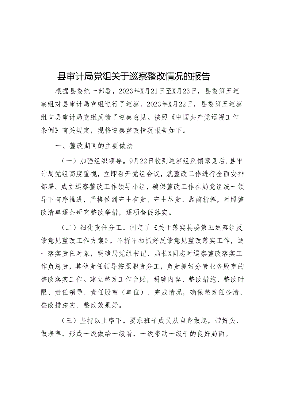 县审计局党组关于巡察整改情况的报告&巡察工作党建问题整改经验材料.docx_第1页