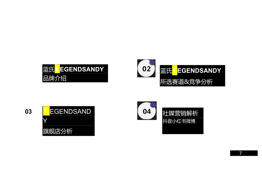 2024蓝氏LEGENDSANDY品牌拆解报告.docx_第1页