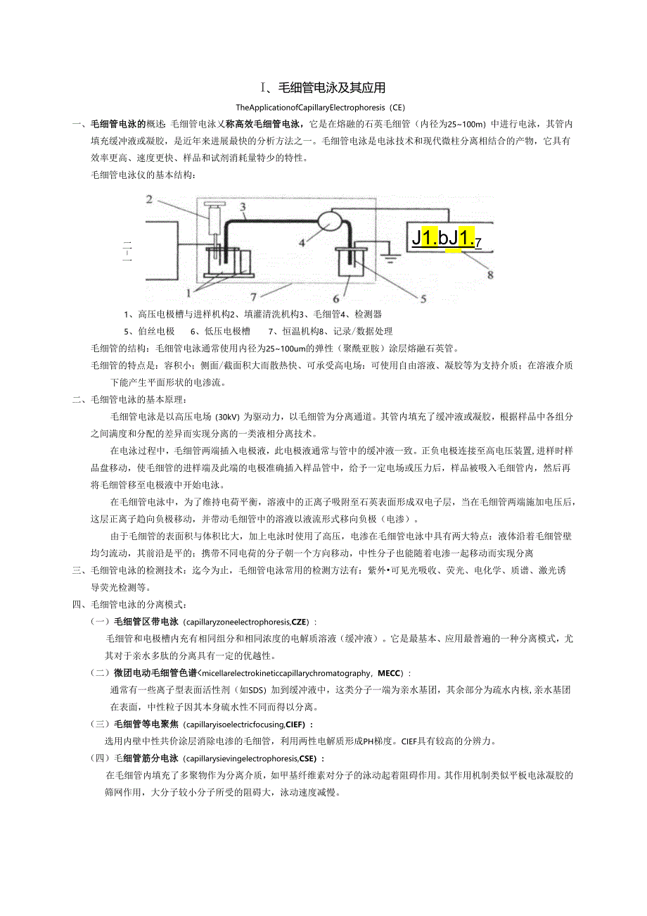 毛细管电泳及其应用知识点梳理汇总.docx_第1页