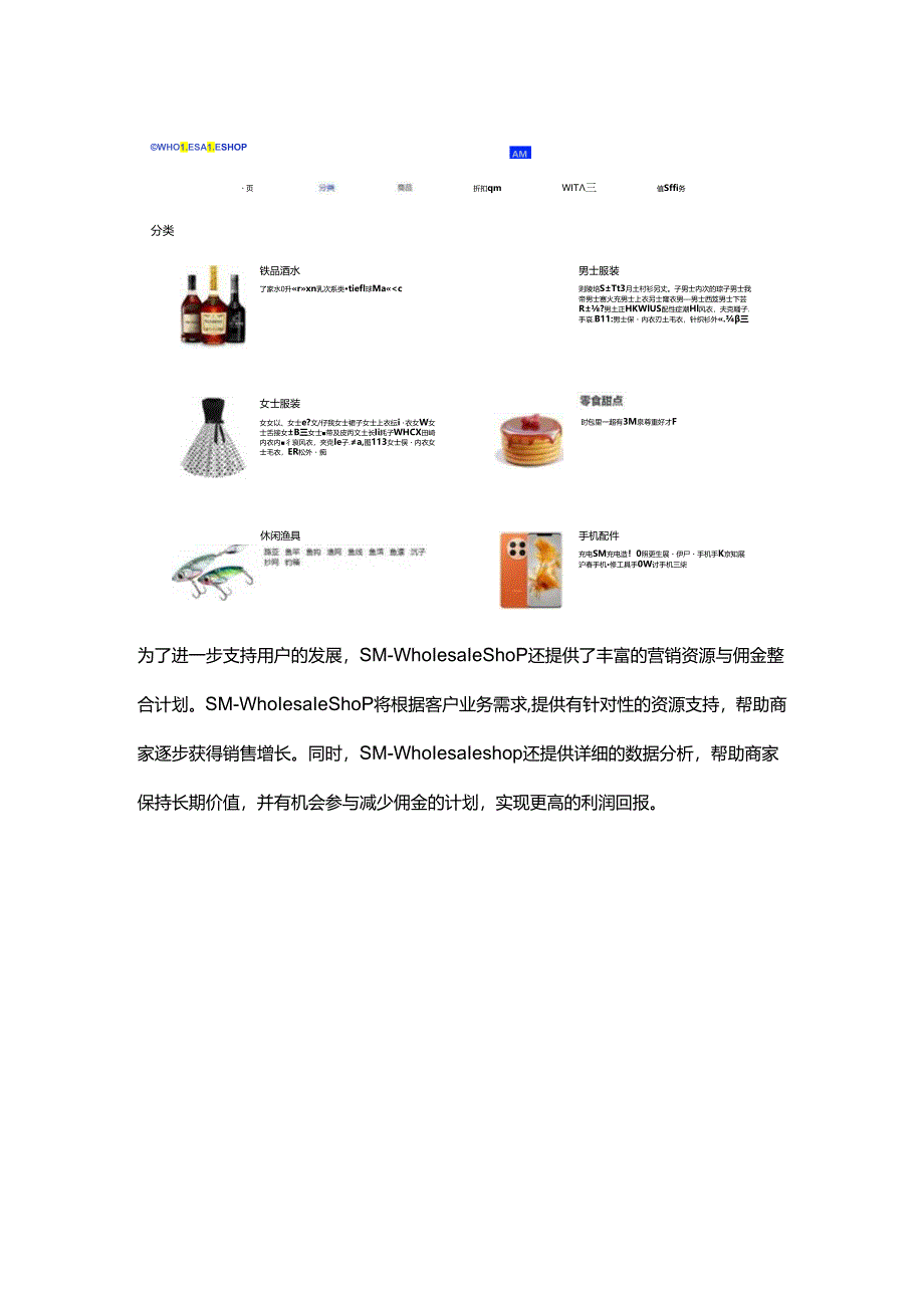 SM-wholesale shop跨境电商新机遇.docx_第3页