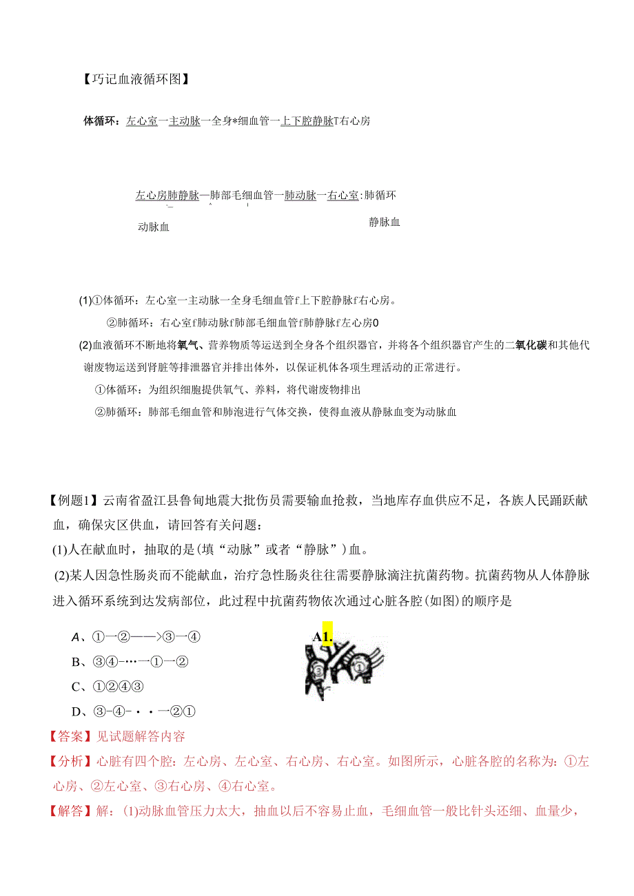 易错点19 心脏、血液循环系统常考易错陷阱分析（解析版）.docx_第2页