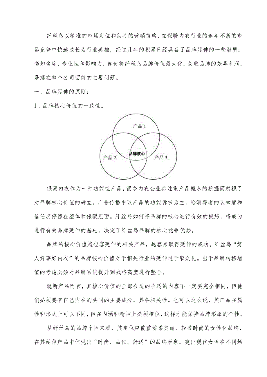 X科技发展企业品牌延伸方案.docx_第2页