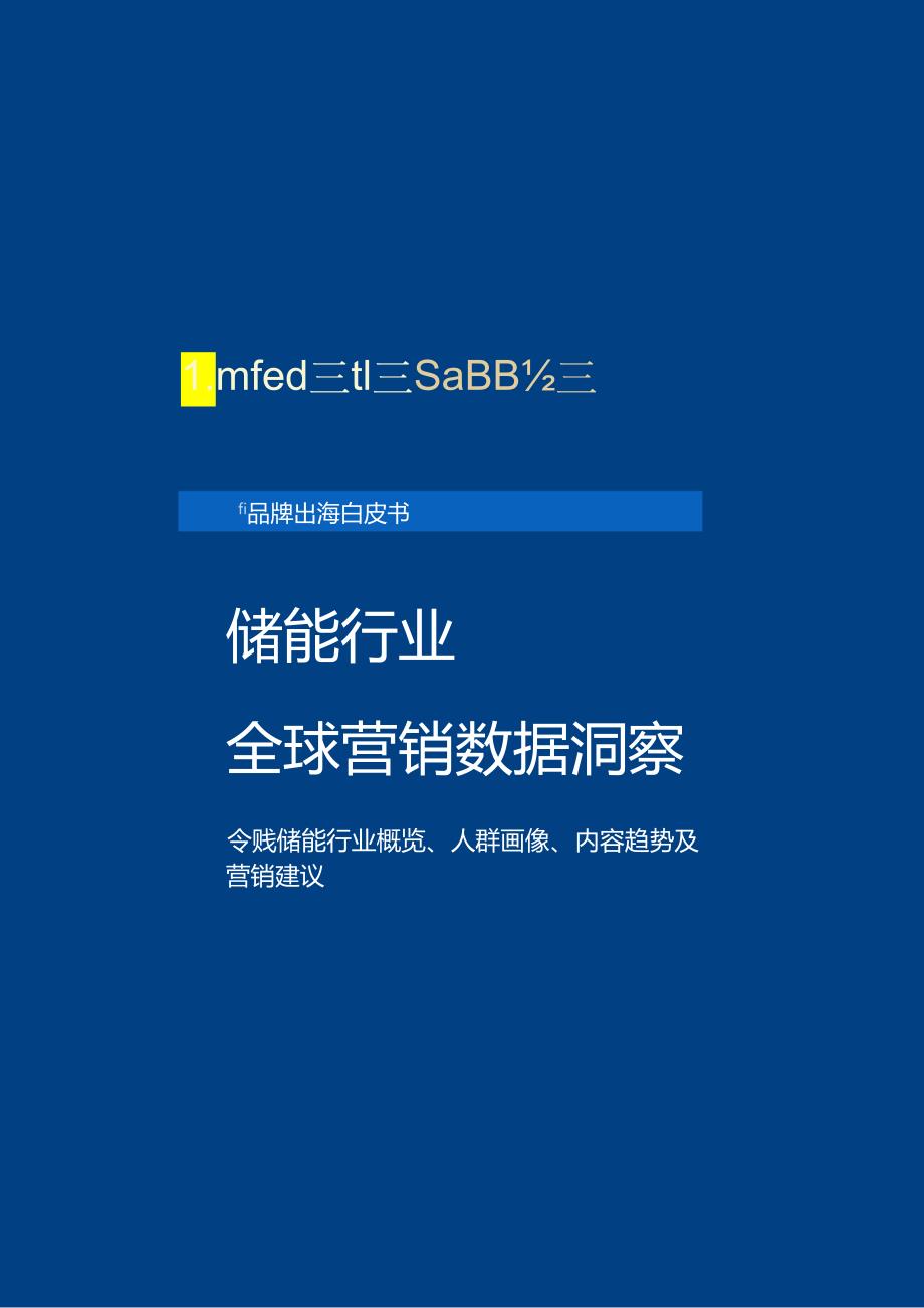 储能行业全球营销数据洞察 2024.docx_第2页