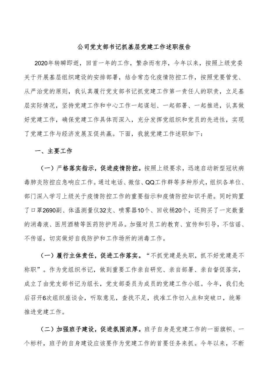 公司党支部书记抓基层党建工作述职报告.docx_第1页