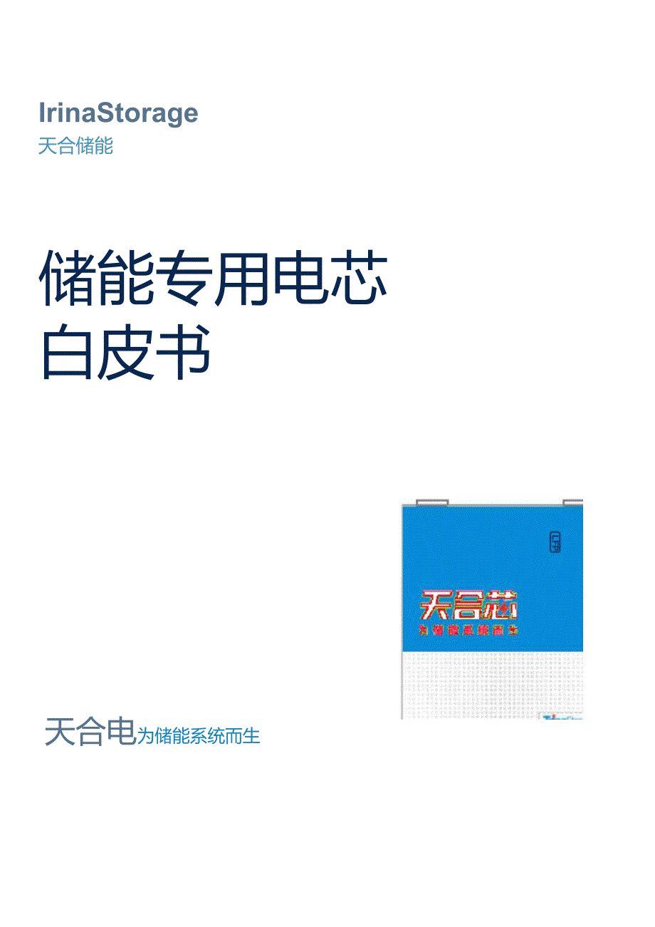 储能专用电芯白皮书 2024.docx_第1页