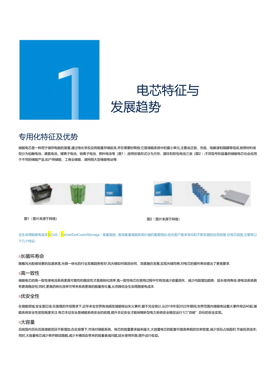 储能专用电芯白皮书 2024.docx_第2页