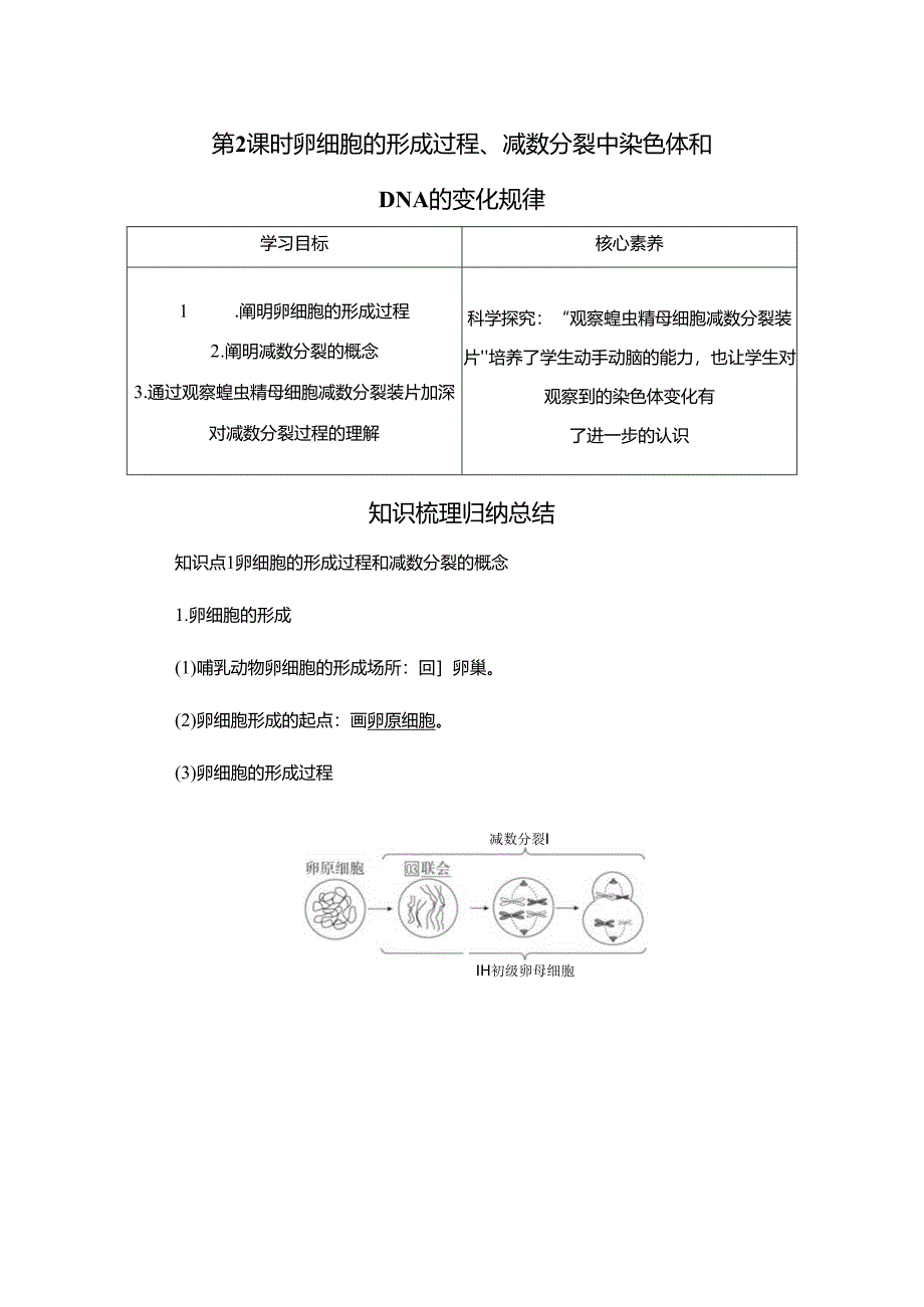 2023-2024学年 人教版 必修二 卵细胞的形成过程、减数分裂中染色体和DNA的变化规律 学案.docx_第1页