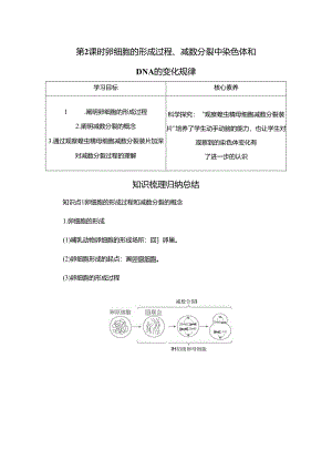 2023-2024学年 人教版 必修二 卵细胞的形成过程、减数分裂中染色体和DNA的变化规律 学案.docx