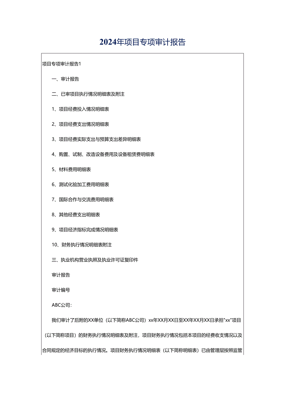 2024年项目专项审计报告.docx_第1页