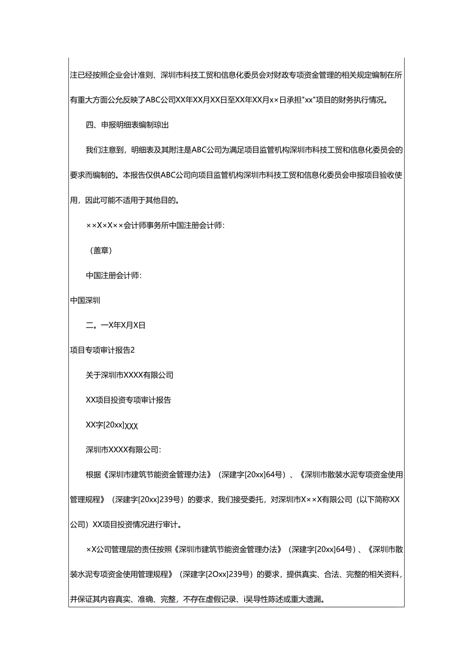 2024年项目专项审计报告.docx_第3页