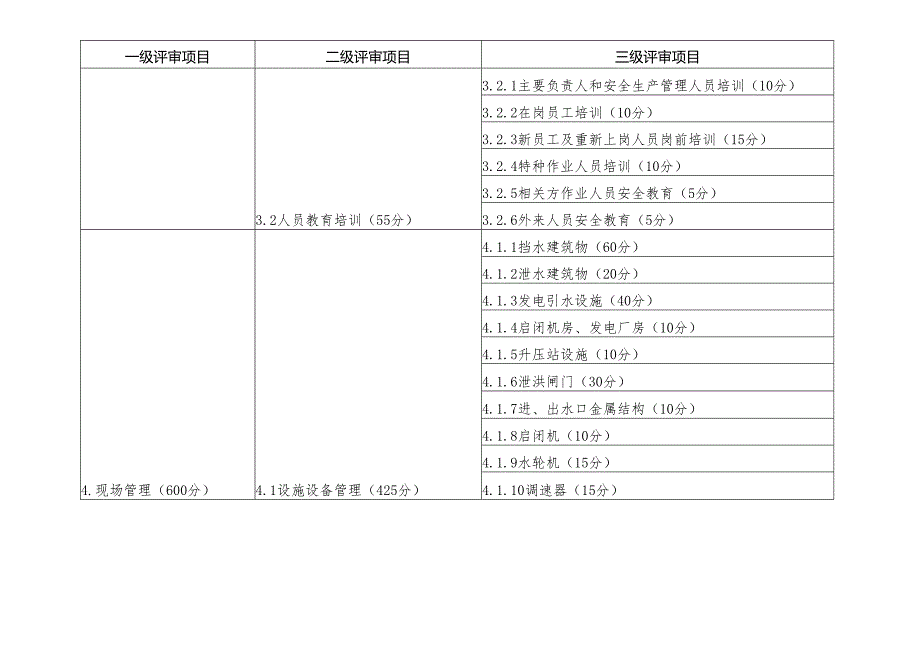 甘肃小型水电站安全生产标准化评审细则.docx_第2页