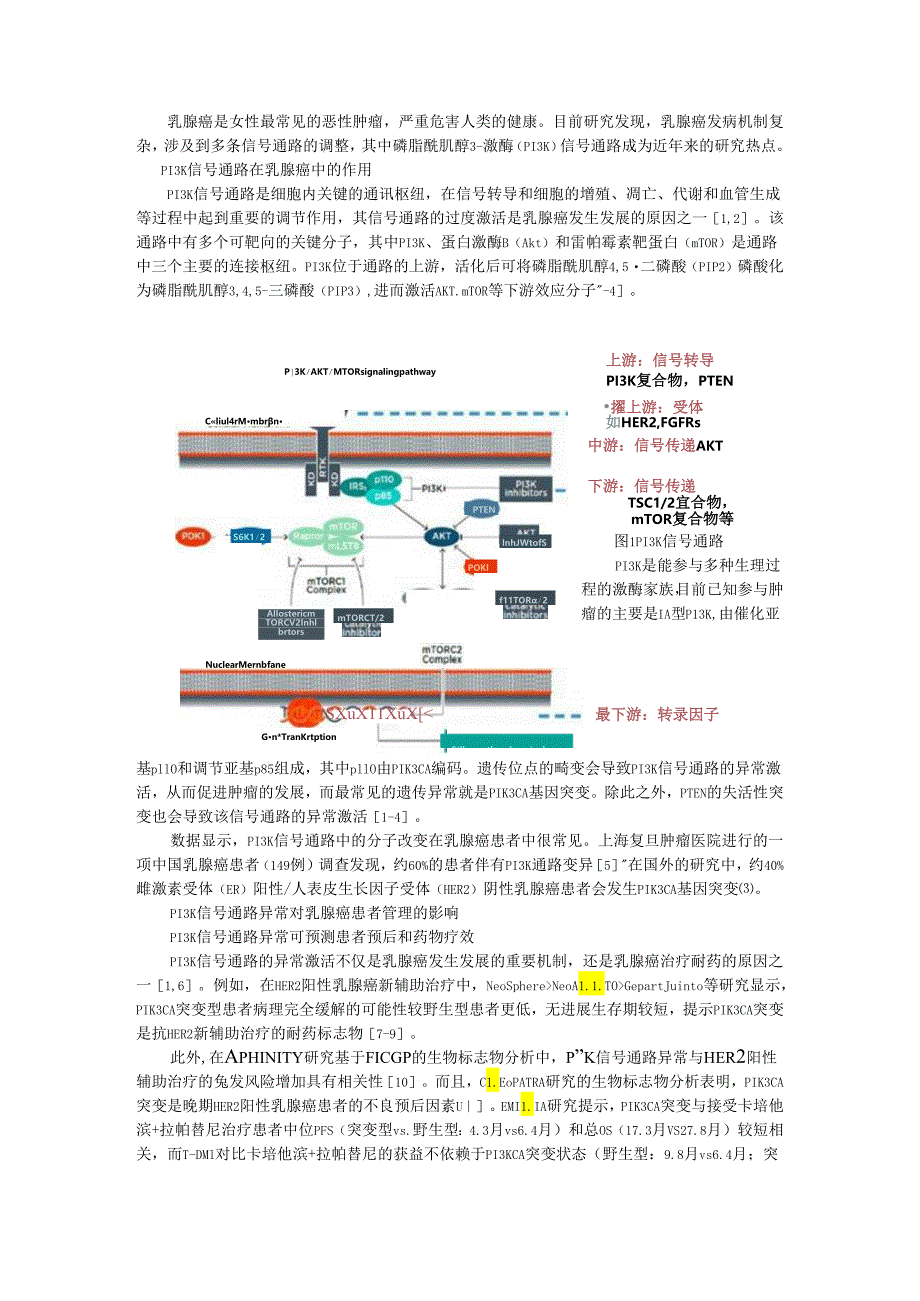 PI3K信号通路对乳腺癌患者管理的影响及其检测方法.docx_第1页