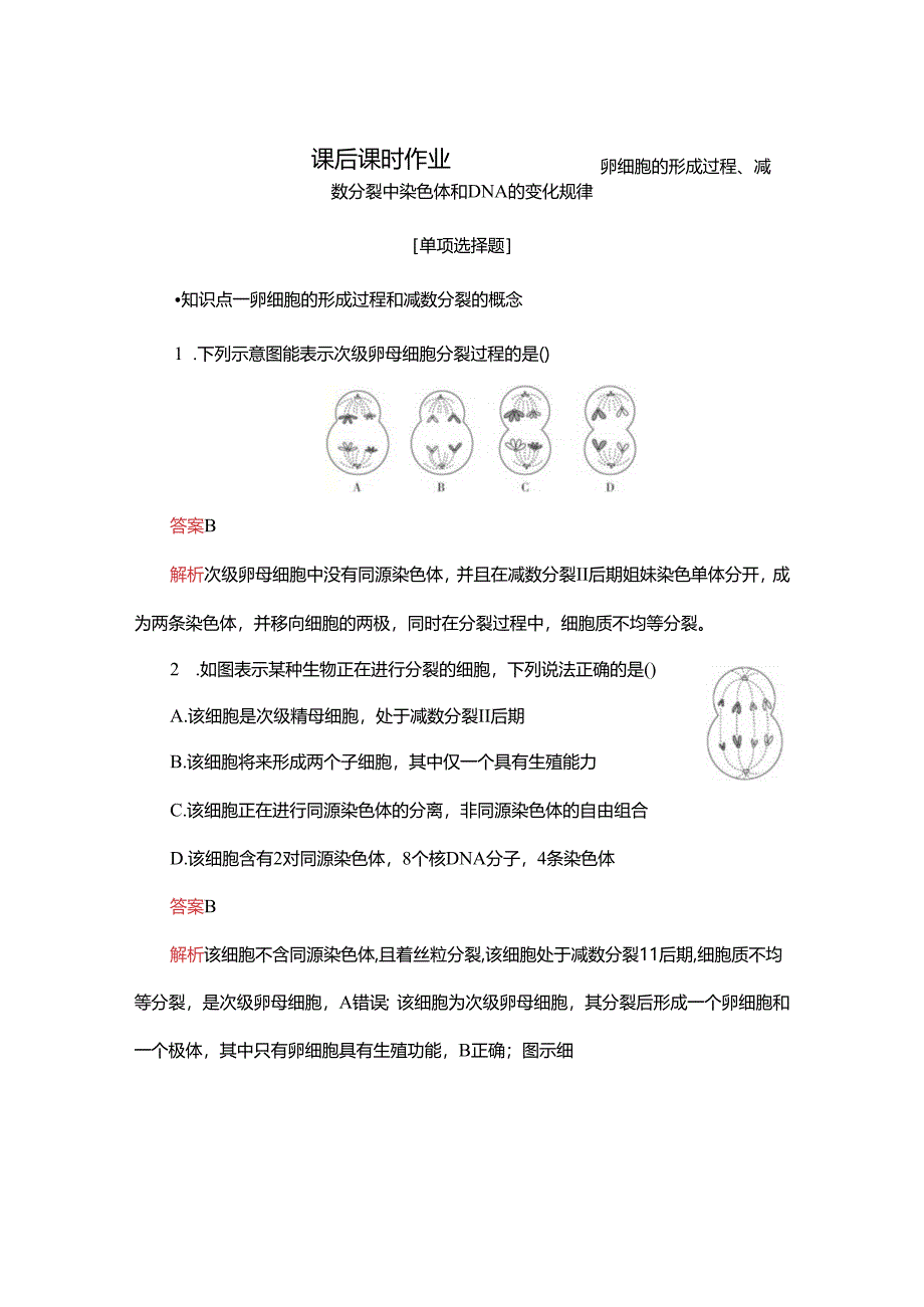 2023-2024学年 人教版 必修二 卵细胞的形成过程、减数分裂中染色体和DNA的变化规律 作业.docx_第1页