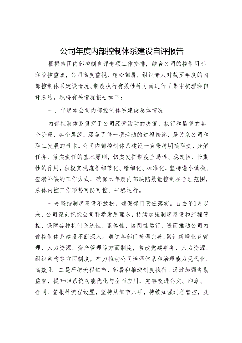 公司年度内部控制体系建设自评报告.docx_第1页