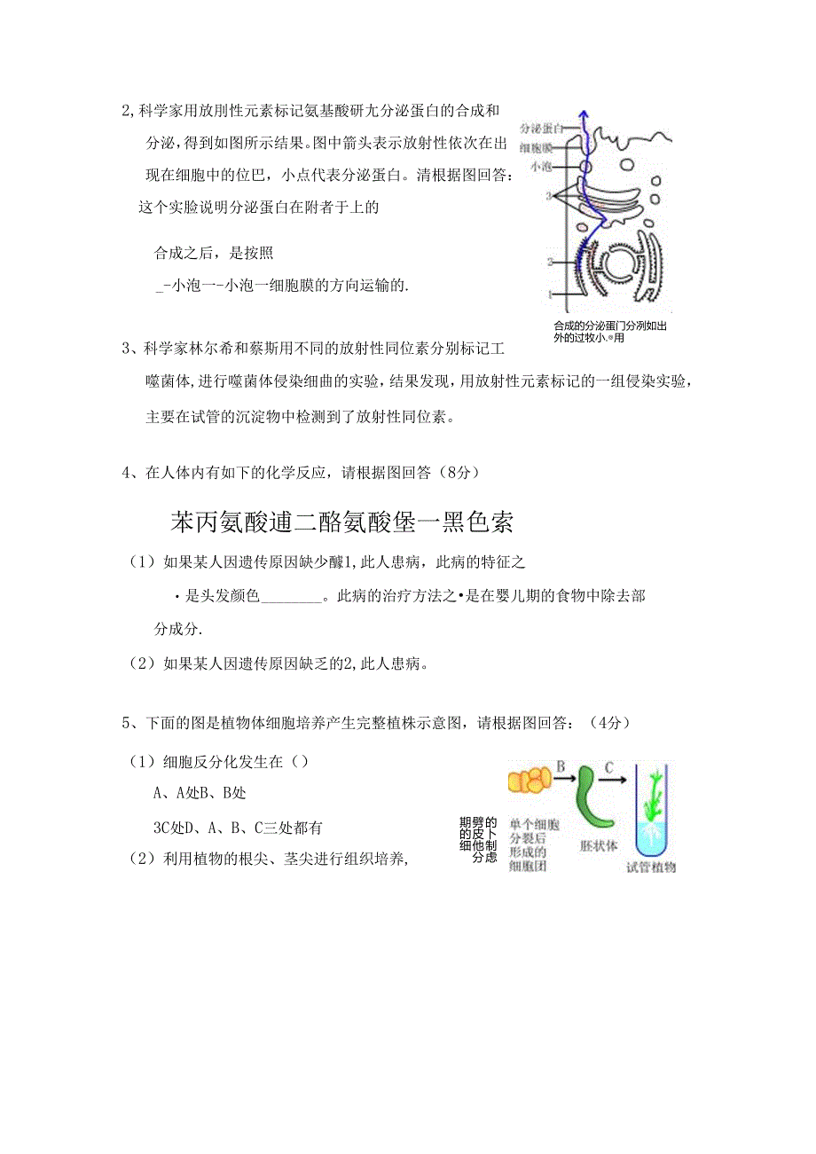 2、科学家用放射性元素标记氨基酸研究分泌蛋白的合成和分泌,得..docx_第1页