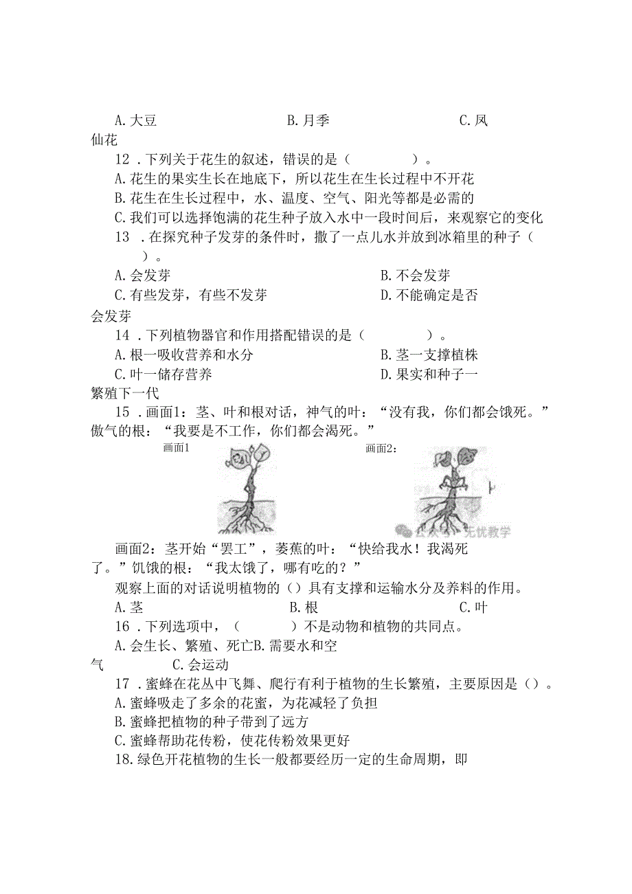 试卷｜最新冀人版四年级下册科学第二单元植物的生长与繁殖检测卷（附答案）.docx_第2页