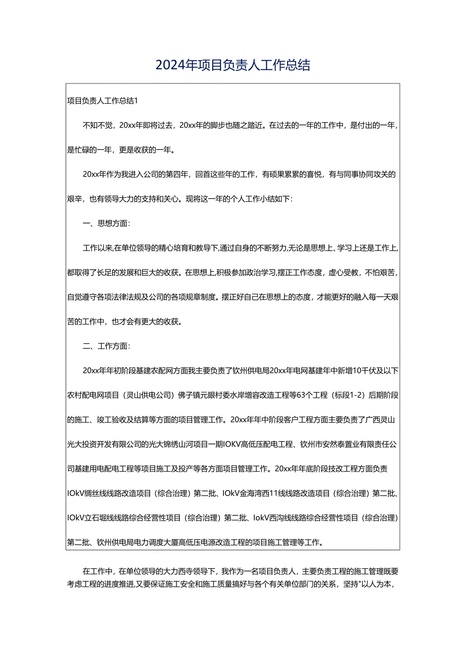 2024年项目负责人工作总结.docx_第1页