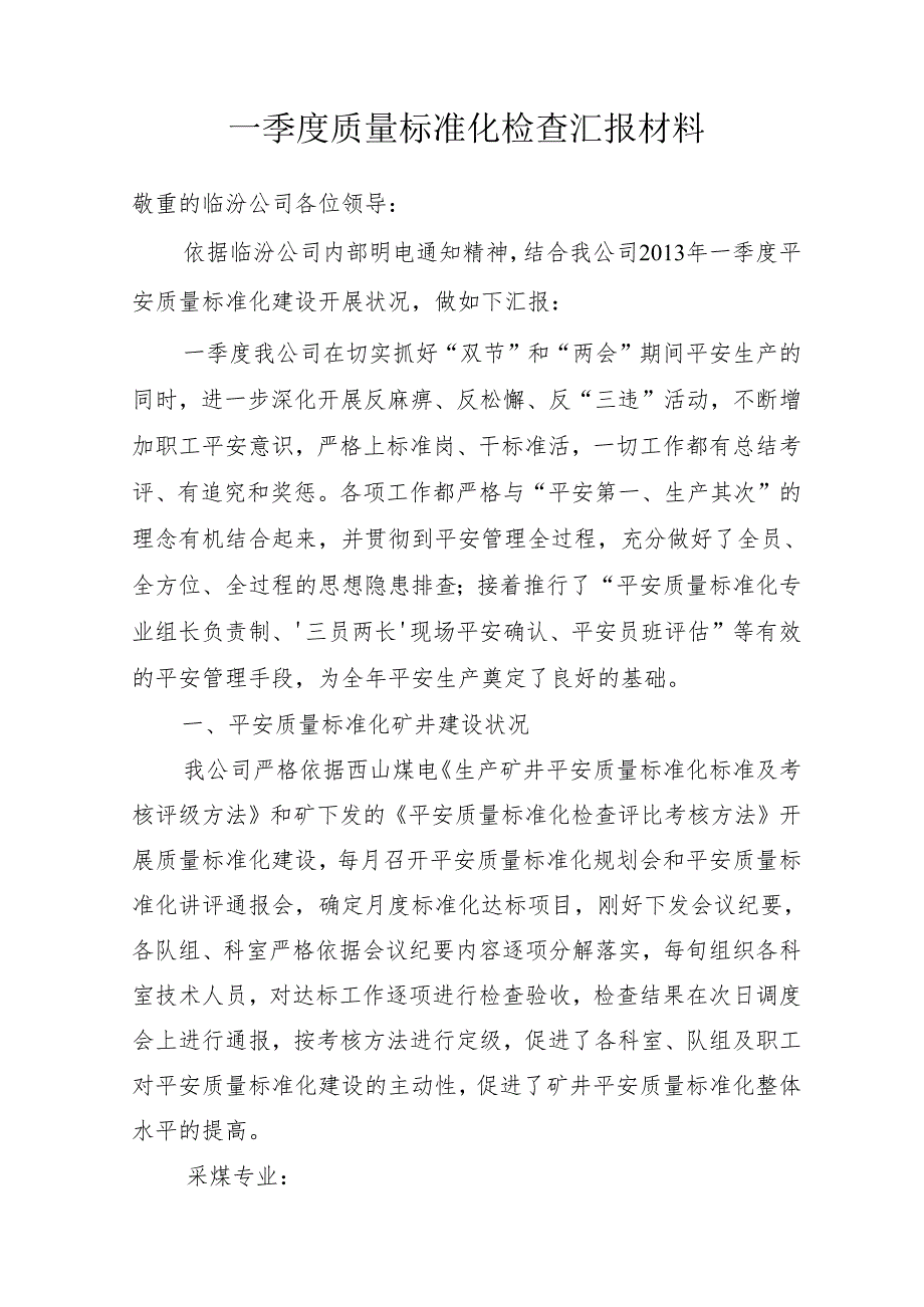 3.23临汾公司一季度汇报材料.docx_第2页