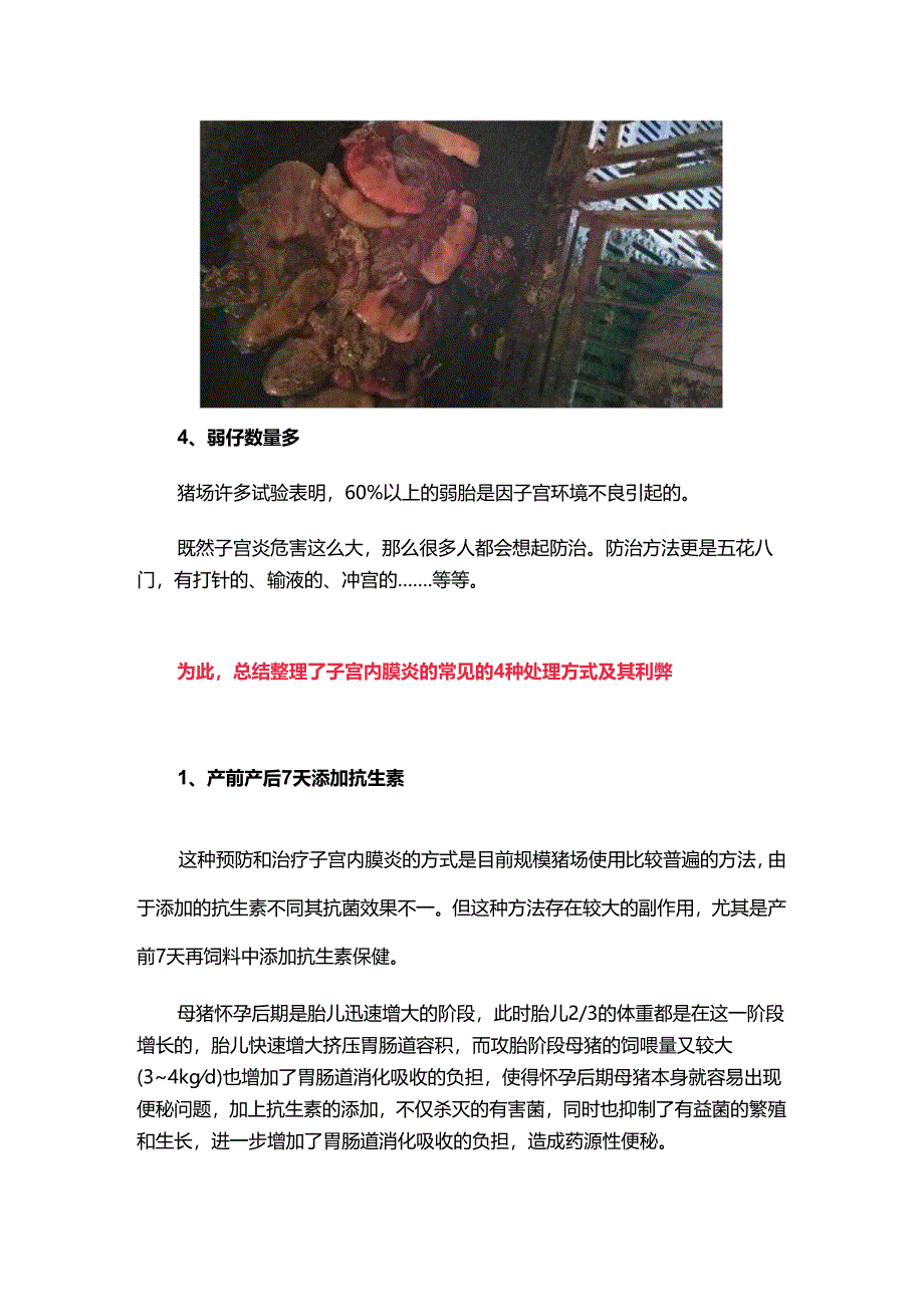 猪子宫内膜炎常见的4种处理方式及其利弊.docx_第2页