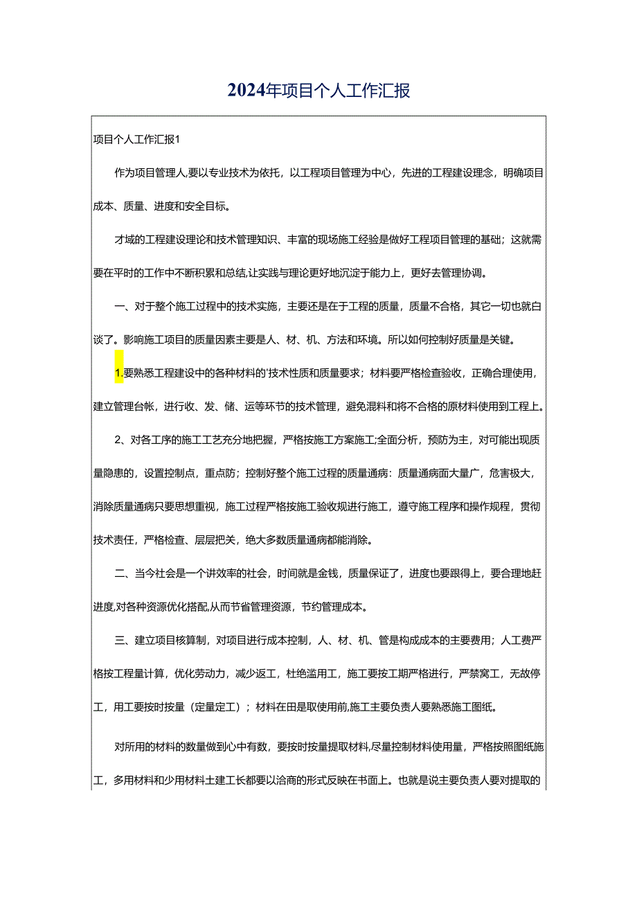 2024年项目个人工作汇报.docx_第1页