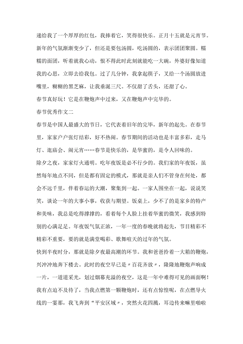 20xx春节优秀作文600字5篇.docx_第2页