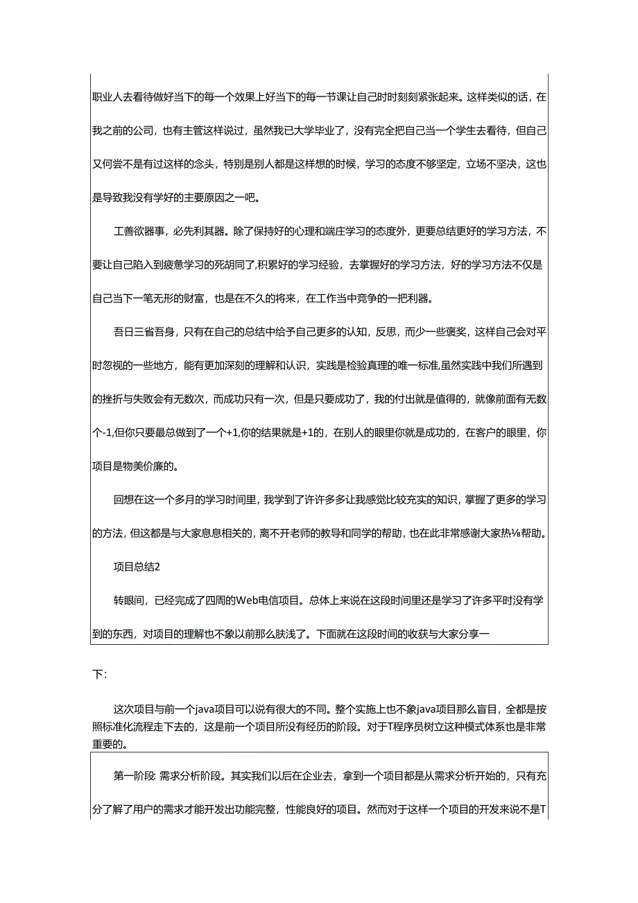 2024年项目总结范文.docx_第2页