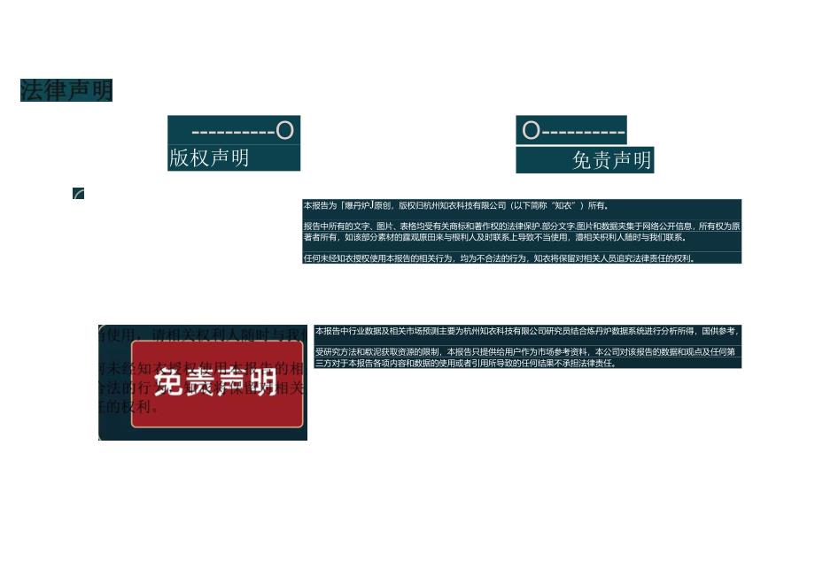 2023国货品牌趋势洞察报告-炼丹炉.docx_第2页