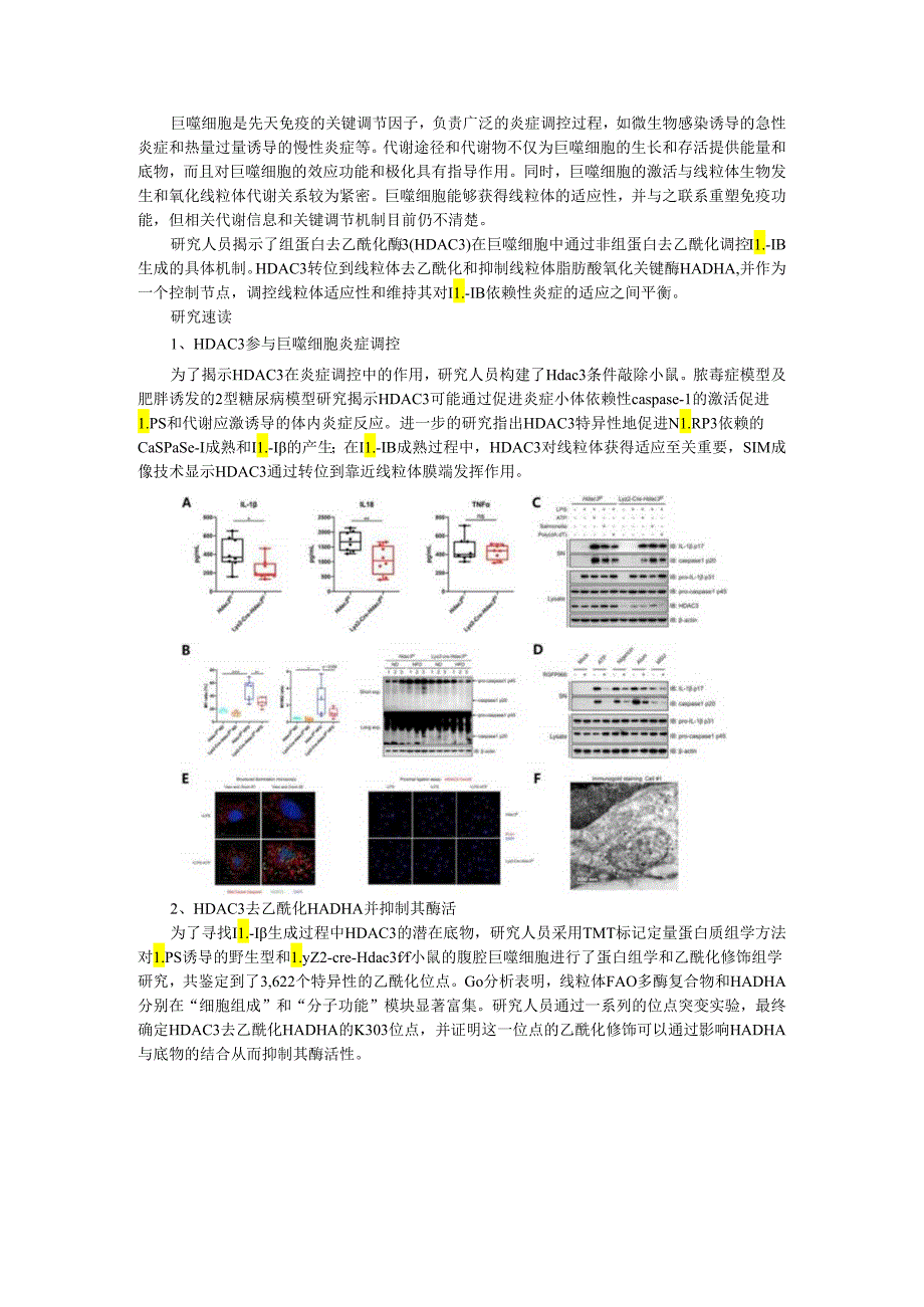 HDAC3介导线粒体驱动的IL 1β依赖性炎症机制.docx_第1页