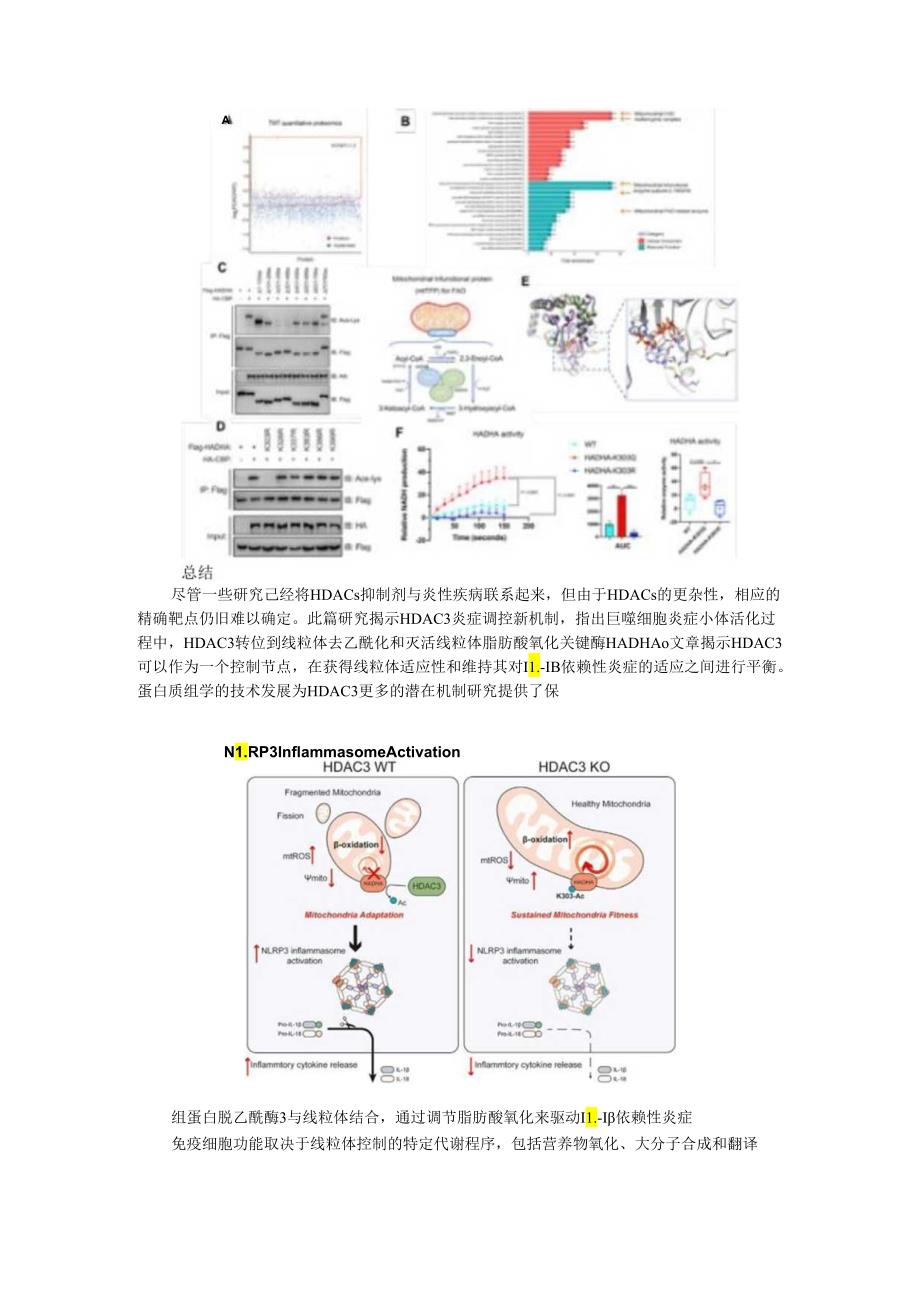 HDAC3介导线粒体驱动的IL 1β依赖性炎症机制.docx_第2页