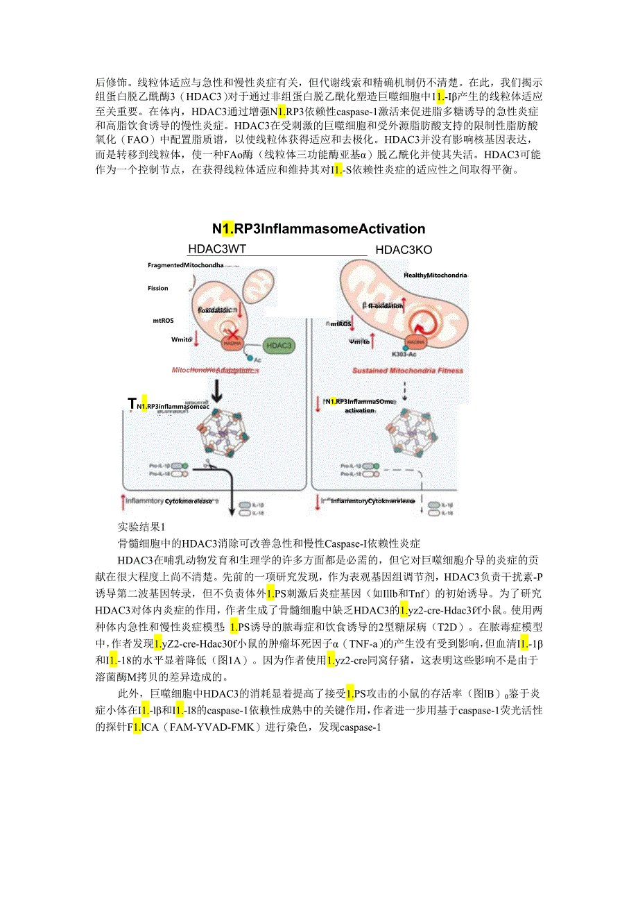 HDAC3介导线粒体驱动的IL 1β依赖性炎症机制.docx_第3页