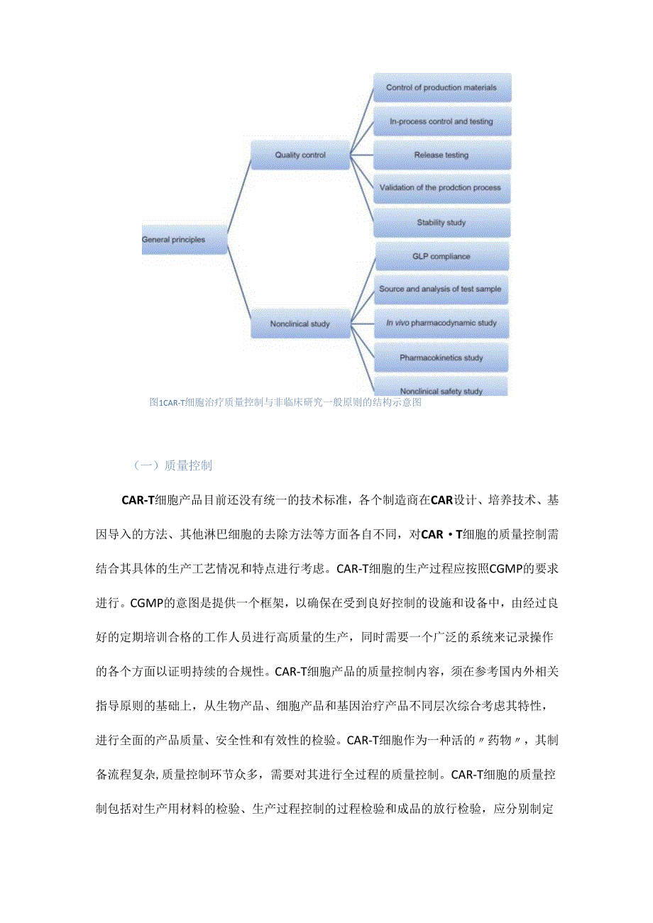 CAR-T细胞产品的质量控制和非临床研究——一般原则和关键问题.docx_第3页