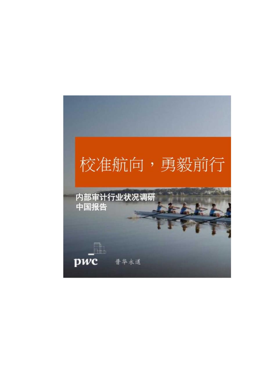 内部审计行业状况调研 2024——中国报告.docx_第2页