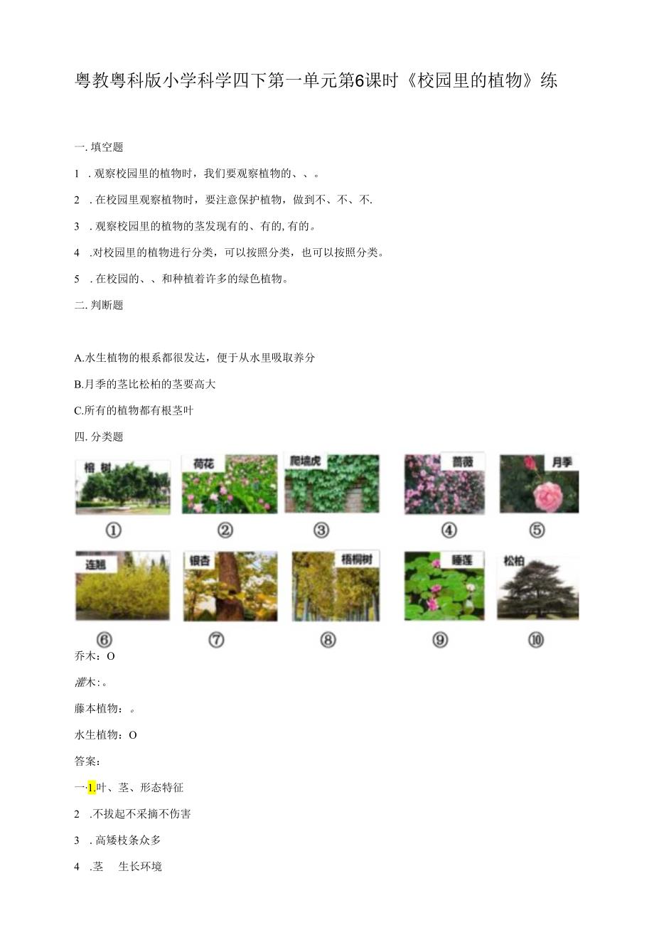 小学科学粤教粤科版四年级下册《校园里的植物》练习（含答案）.docx_第1页