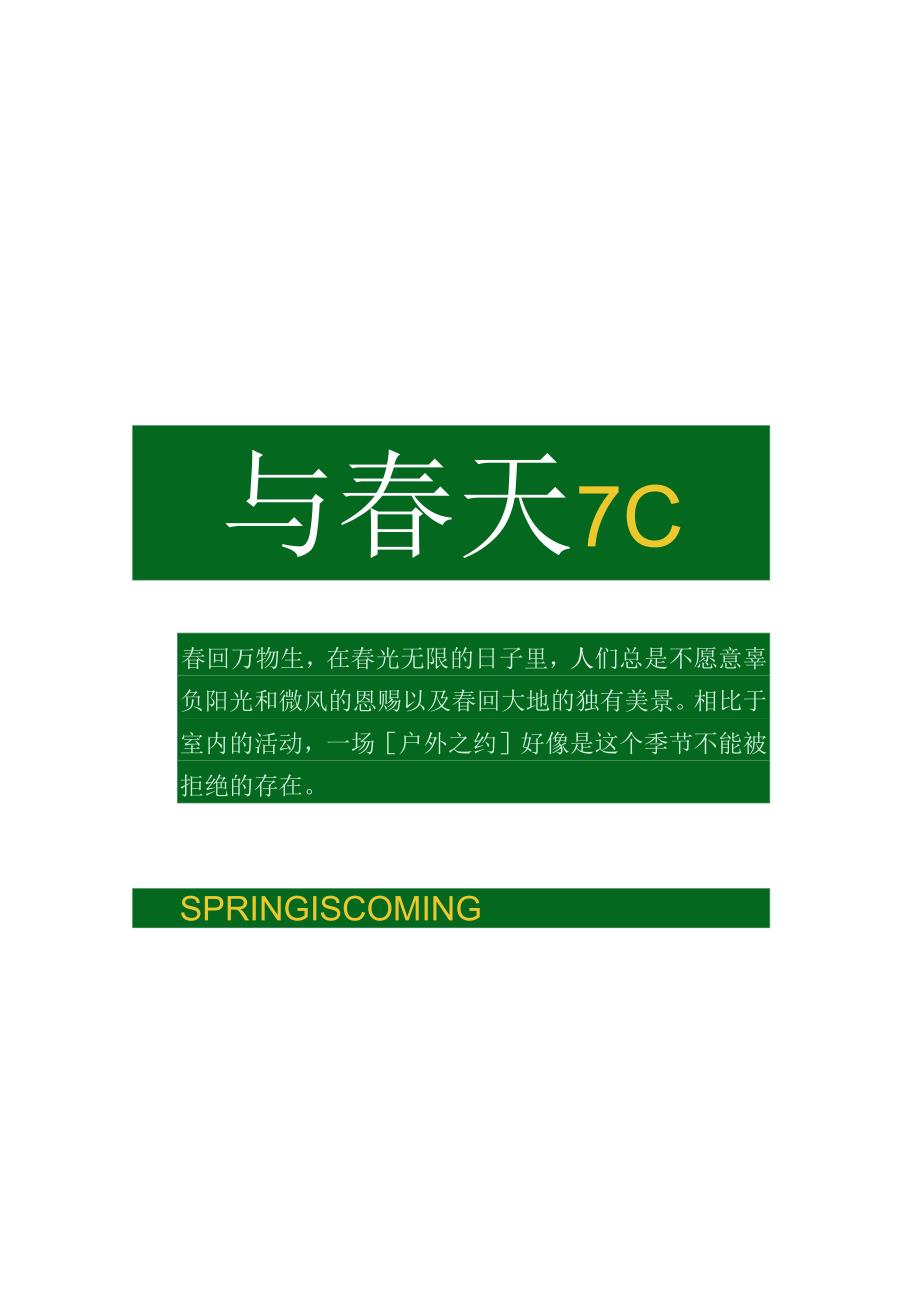 2024商场地产春季醒春市集系列（与春天撞个满怀主题）活动策划方案-58正式版.docx_第3页